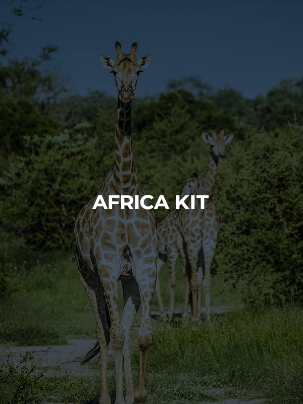 Giraffes in African landscape symbolizing the Africa Kit and travel health readiness