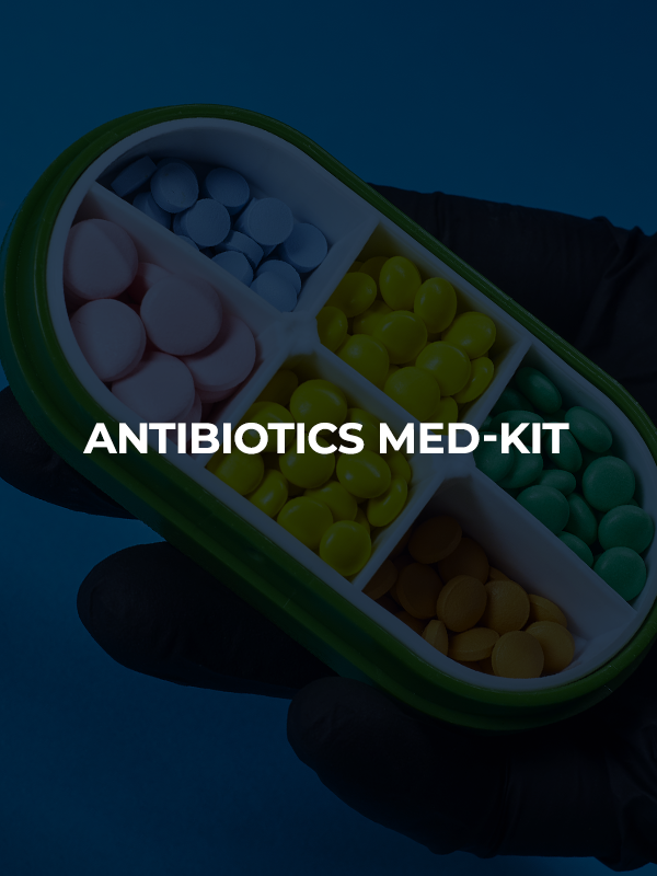 Representative image of six antibiotics symbolizing the contents and purpose of the Antibiotic MedKit